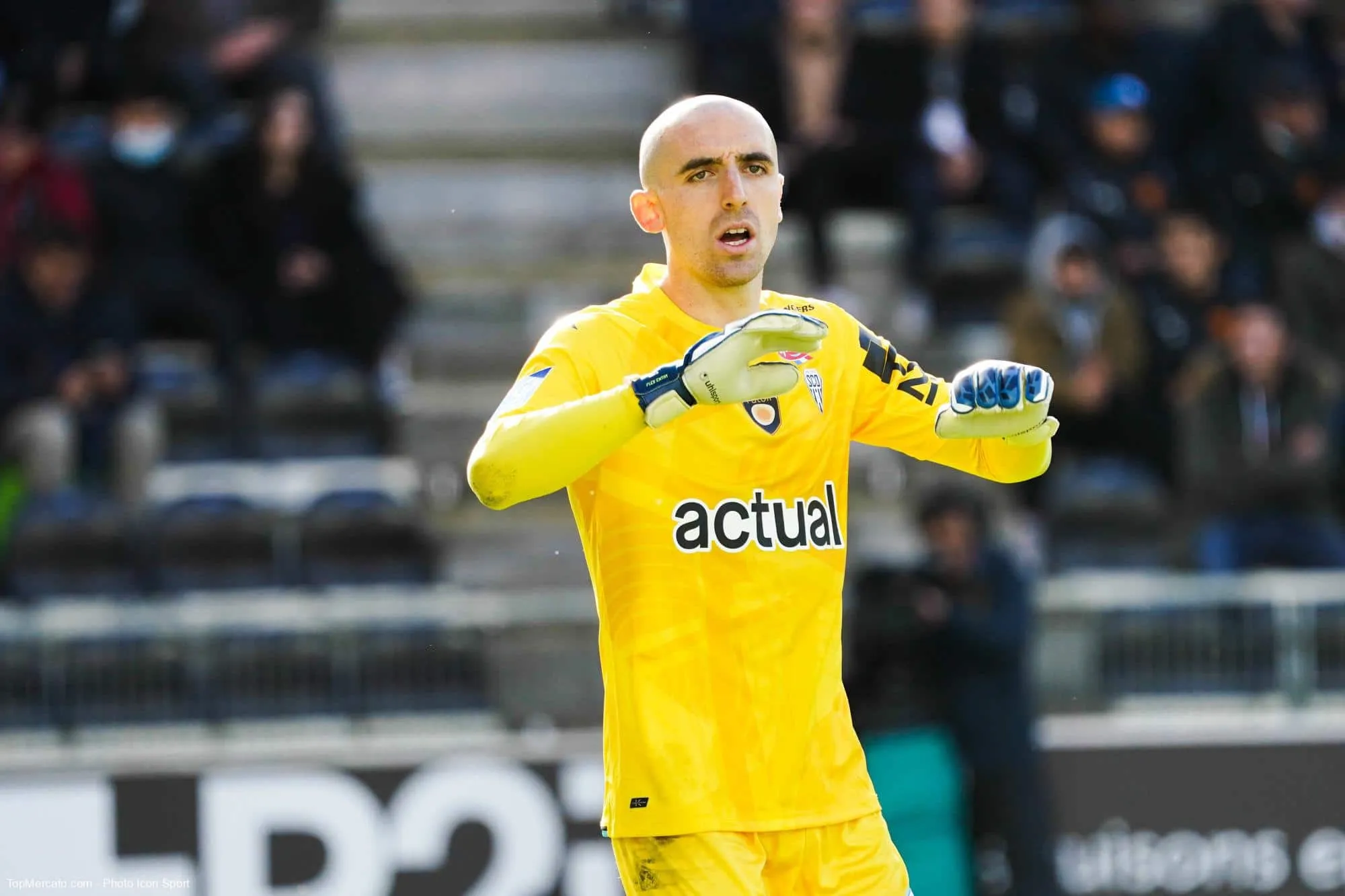 Paul Bernardoni, SCO, Angers