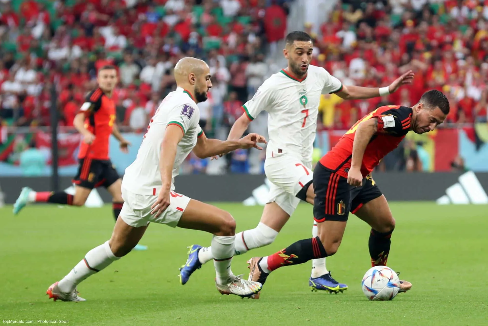 Lors de la Coupe du monde 2022, quel Belge en serait venu aux mains avec Eden Hazard dans les vestiaires, après une défaite 0-2 contre le Maroc en phase de poules ?