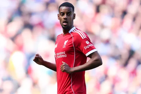 Mercato Arsenal : “ça ressemble un peu à Isak…”, Aliadière met en garde les Gunners