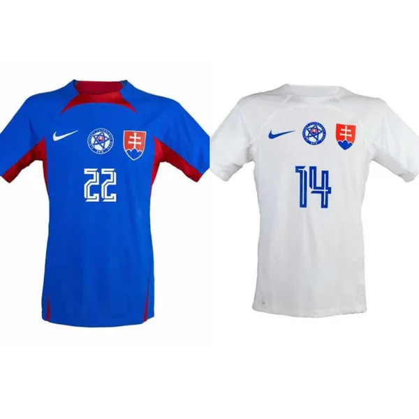 Maillot Slovaquie Euro 2024 domicile extérieur