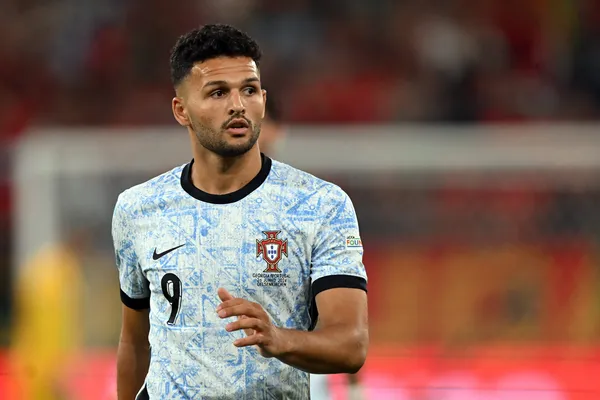 Gonçalo Ramos, Portugal