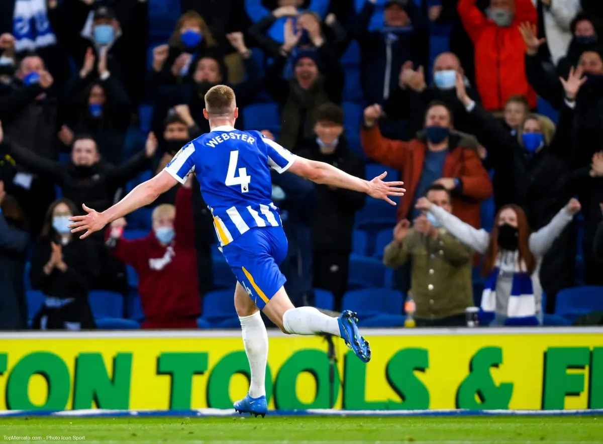 Adam Webster, Brighton