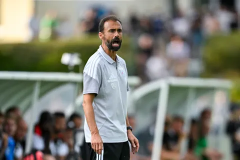 Mercato Strasbourg : quelles recrues faut-il encore attendre en Alsace ?