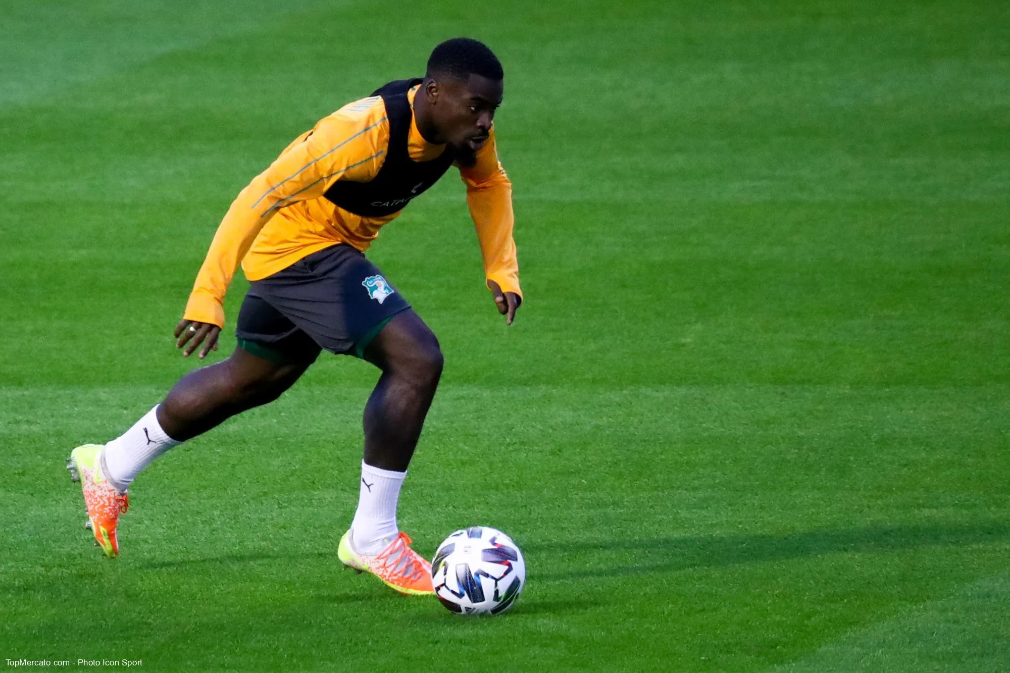 Serge Aurier, Côte d'Ivoire