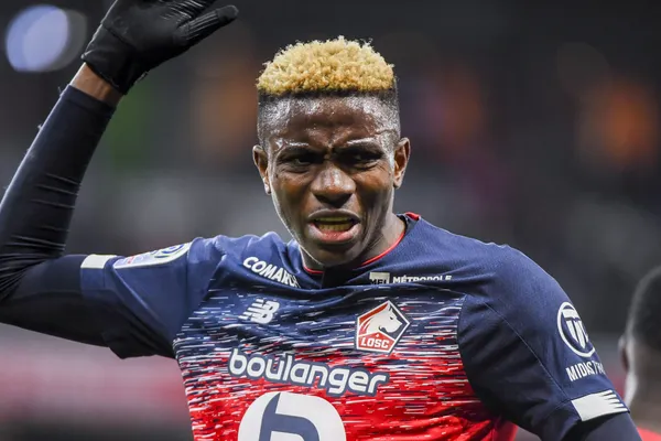 Victor Osimhen, LOSC, Lille