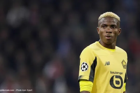 Lille : Osimhen est apte pour le match à Monaco