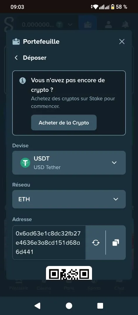 Acheter des cryptos sur Stake pour déposer de l'argent

