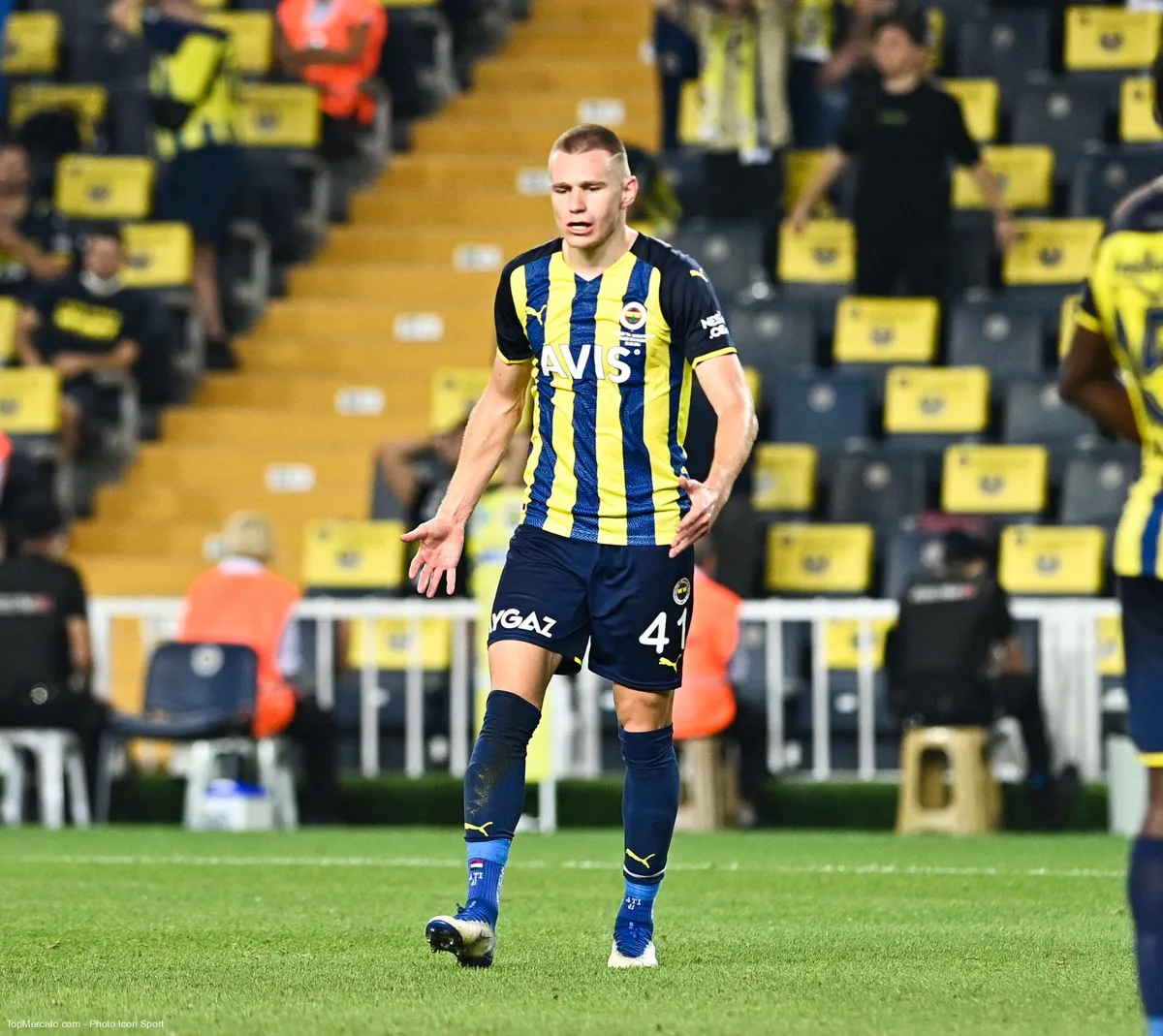 Attila Szalai, Fenerbahçe