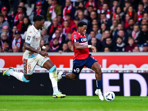 Lille : le successeur de David identifié au Brésil