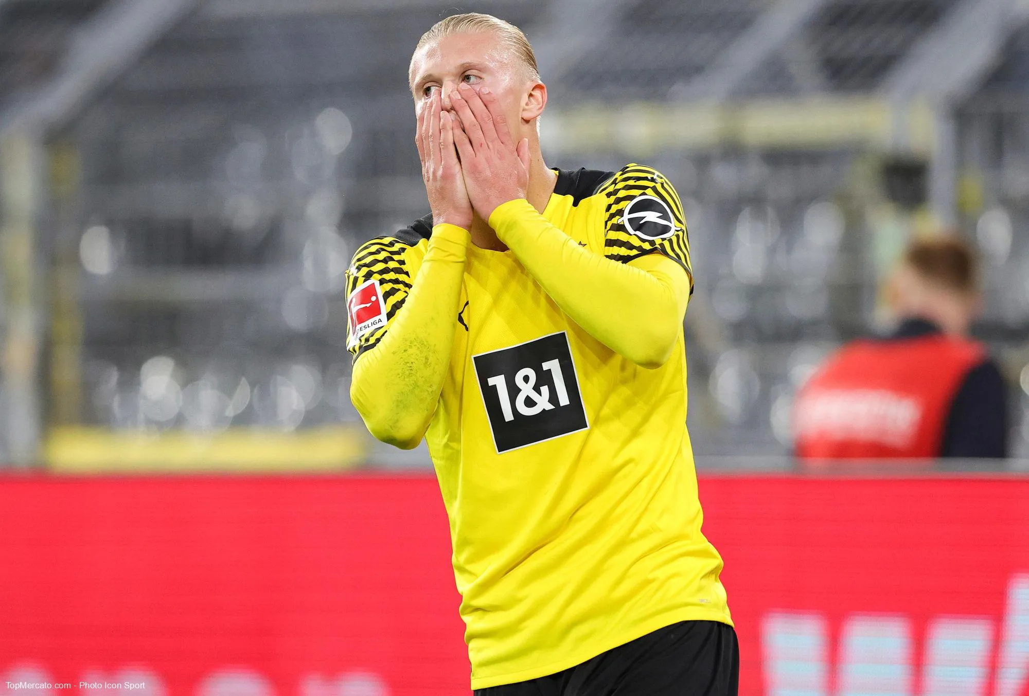 Erling Haaland, Borussia Dortmund