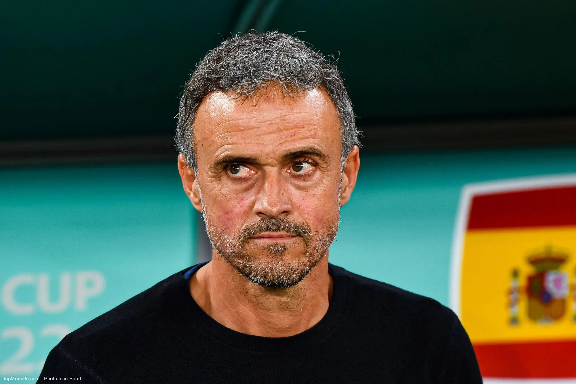 Dans quelle formation Luis Enrique a-t-il débuté sa carrière de joueur, en 1989 ?