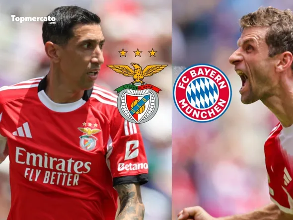 Benfica – Bayern Munich : chaîne TV, heure et compos probables du match