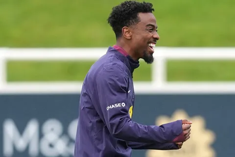 Mercato - LOSC : une légende d’Arsenal milite pour la signature d’Angel Gomes