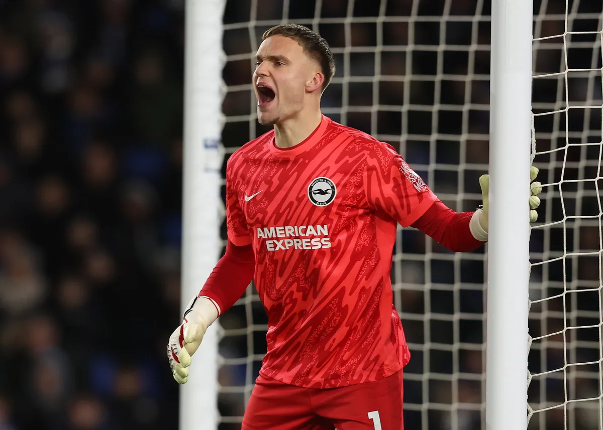 Bart Verbruggen Brighton and Hove Albion