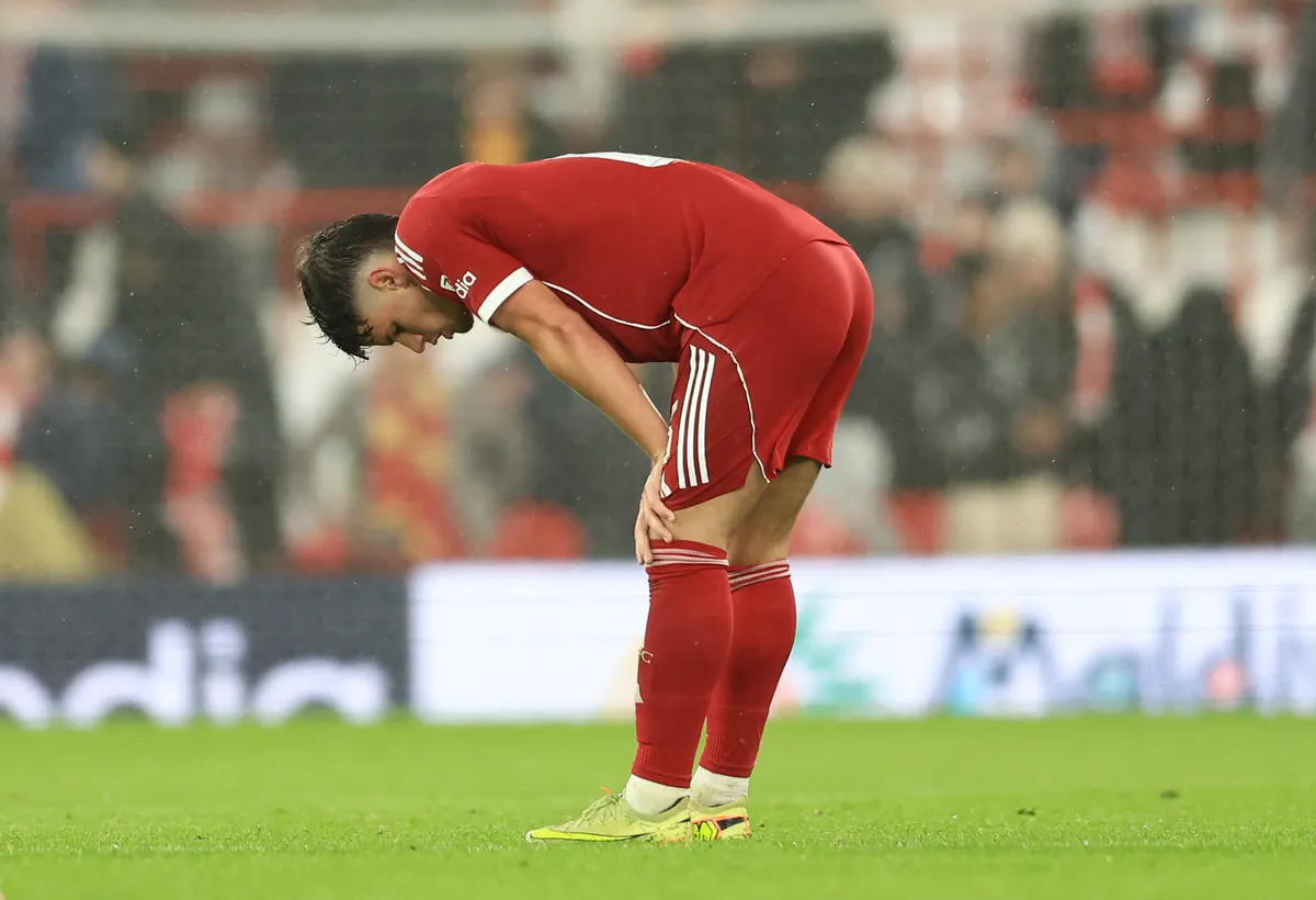 Milos Kerkez Liverpool