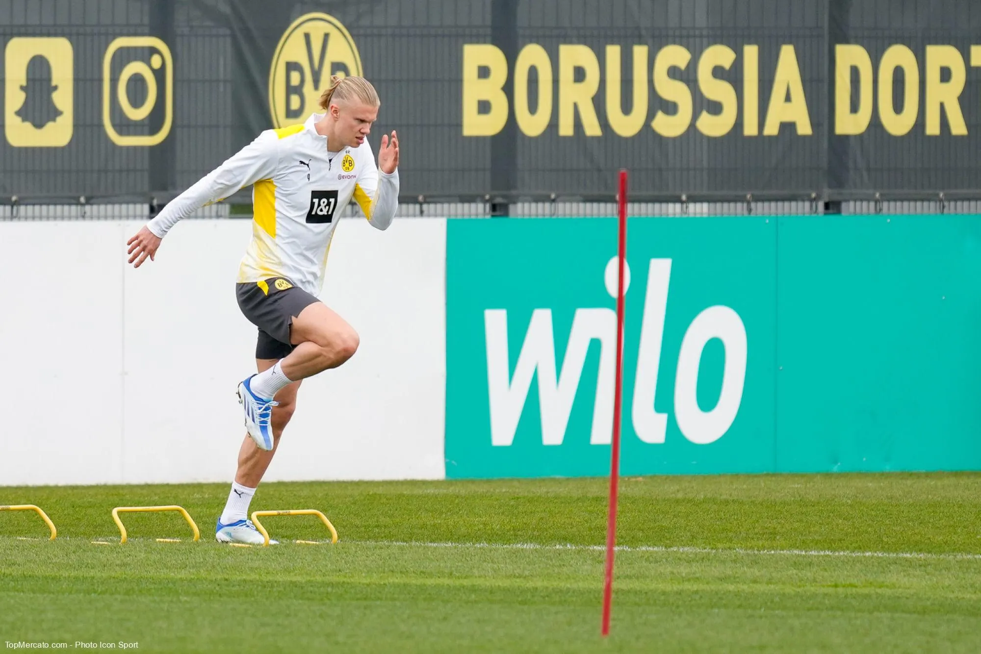Erling Haaland, Borussia Dortmund