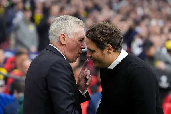 Edin Terzic, Carlo Ancelotti