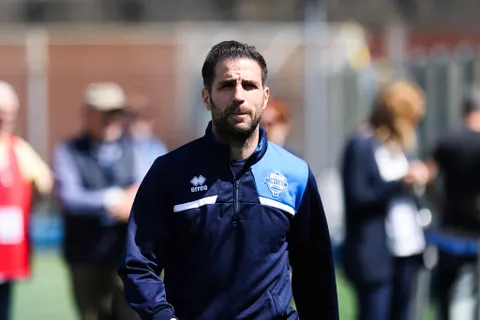 Mercato - Fabregas va aussi recruter à Manchester City