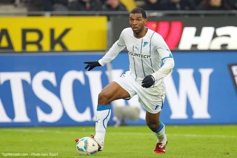 Hoffenheim prêt à faire sa mue… sans Babel et Braafheid !