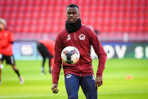 Mercato - Lille : Cheikh Niasse prêté au Panathinaïkos (Officiel)