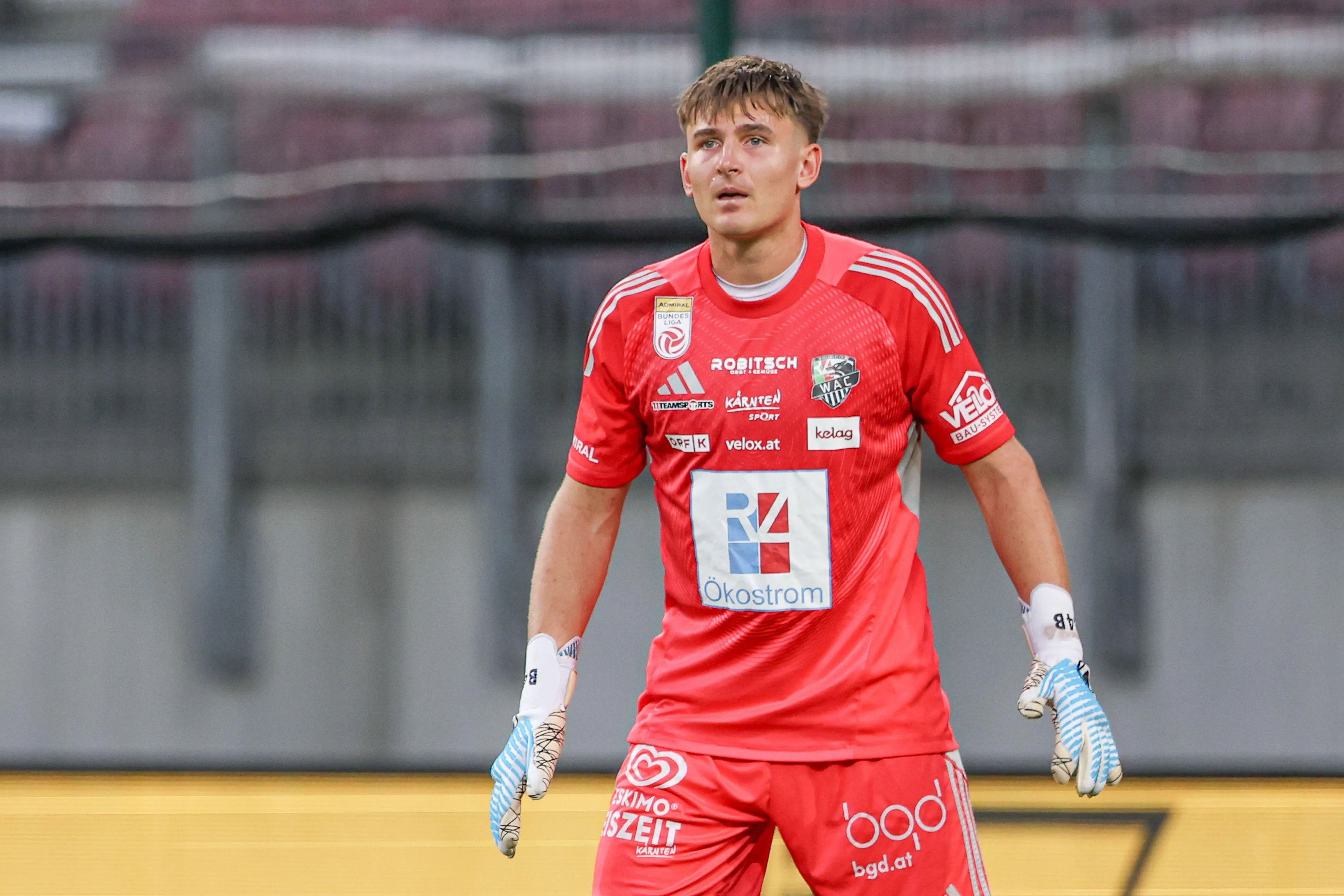 Nikolas Polster