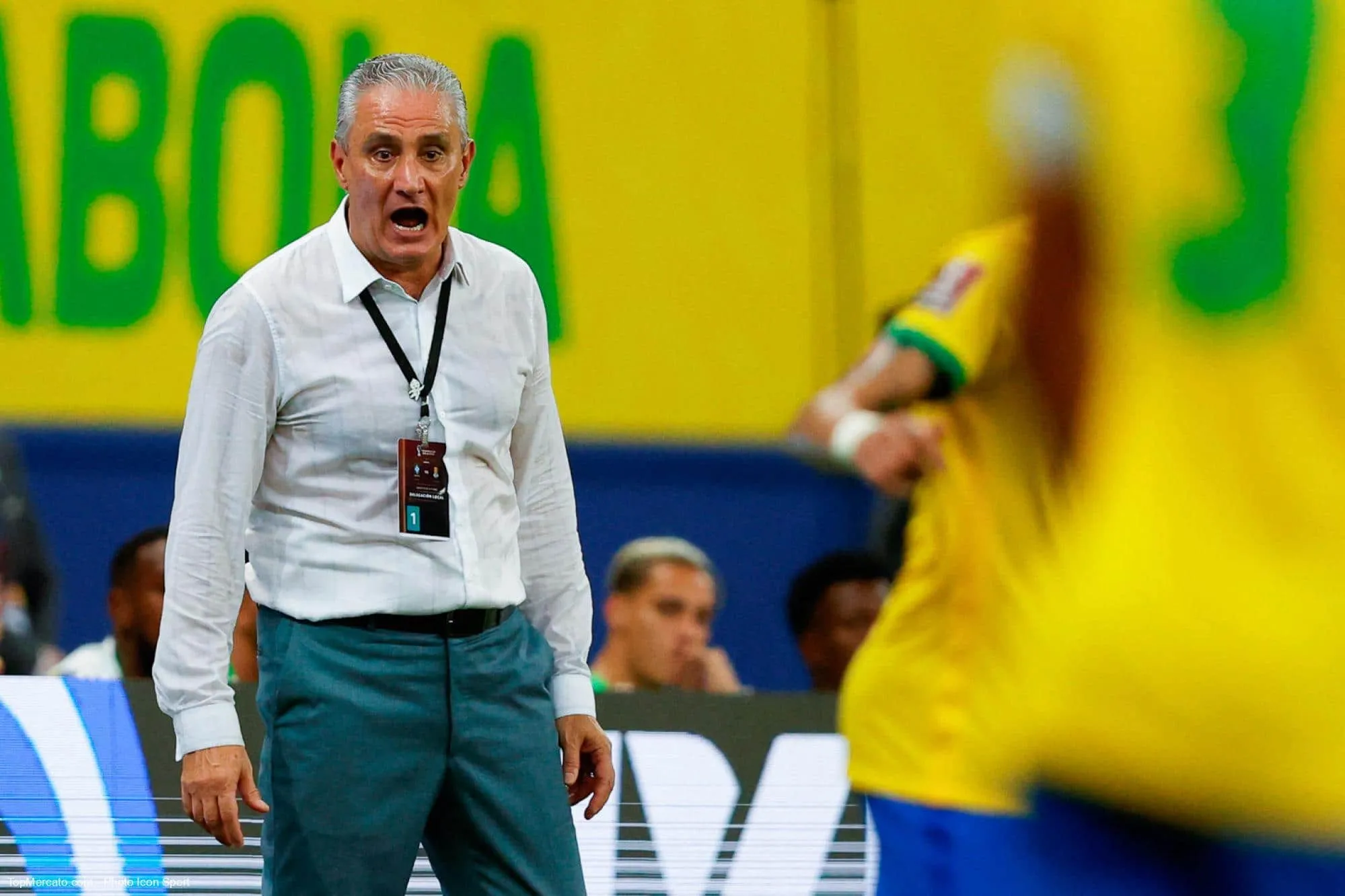 Tite, Brésil