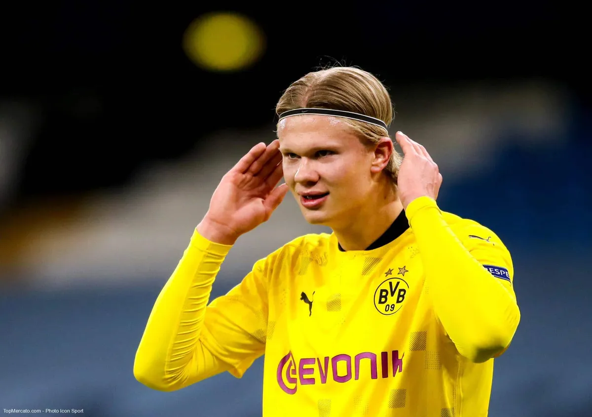 Erling Haaland, Borussia Dortmund