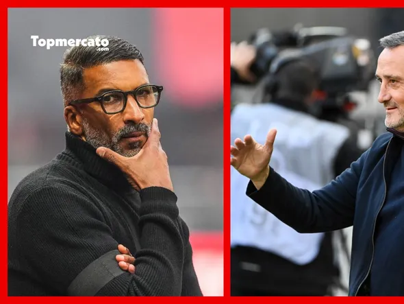 Mercato Rennes : Habib Beye écarté, l’arrivée de Franck Haise semble évidente… Trop évidente ?