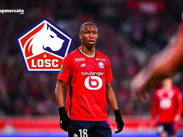 Lille – Venise : chaîne TV et heure du match amical