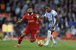Brighton – Liverpool : chaîne TV, heure et compos probables du match