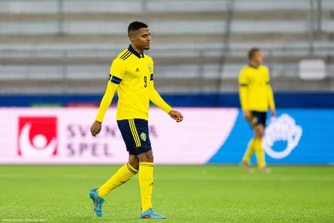 Mercato - Lyon en passe de claquer 12 M€ pour un buteur suédois !