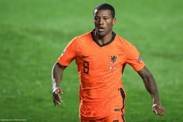 Georginio Wijnaldum, Pays-Bas
