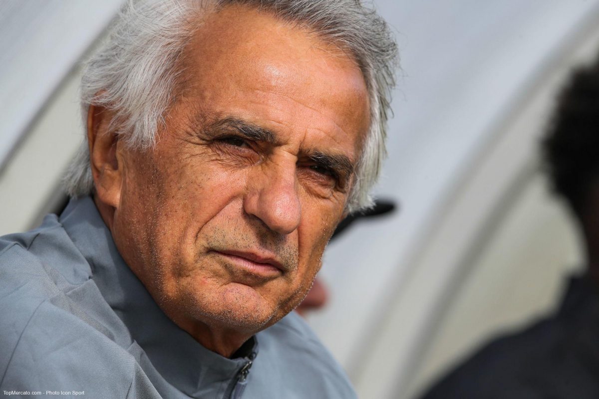 Mondial 2022 : le Maroc comme l'Algérie en 2014 ? Halilhodzic y croit