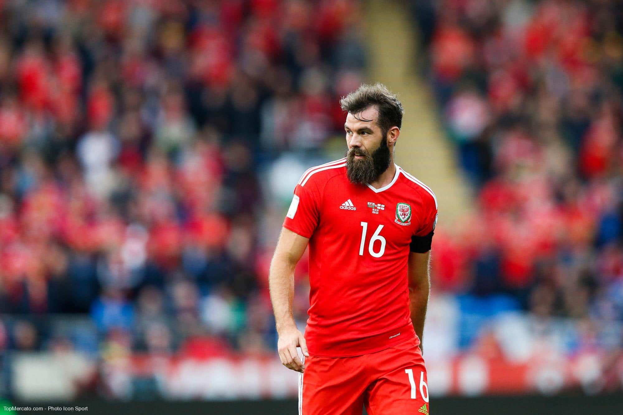 Joe Ledley