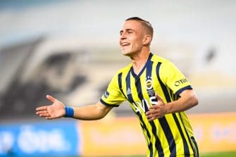 Demetrios Pelkas, Fenerbahce