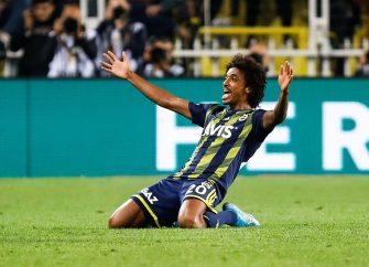 Luiz Gustavo, Fenerbahçe