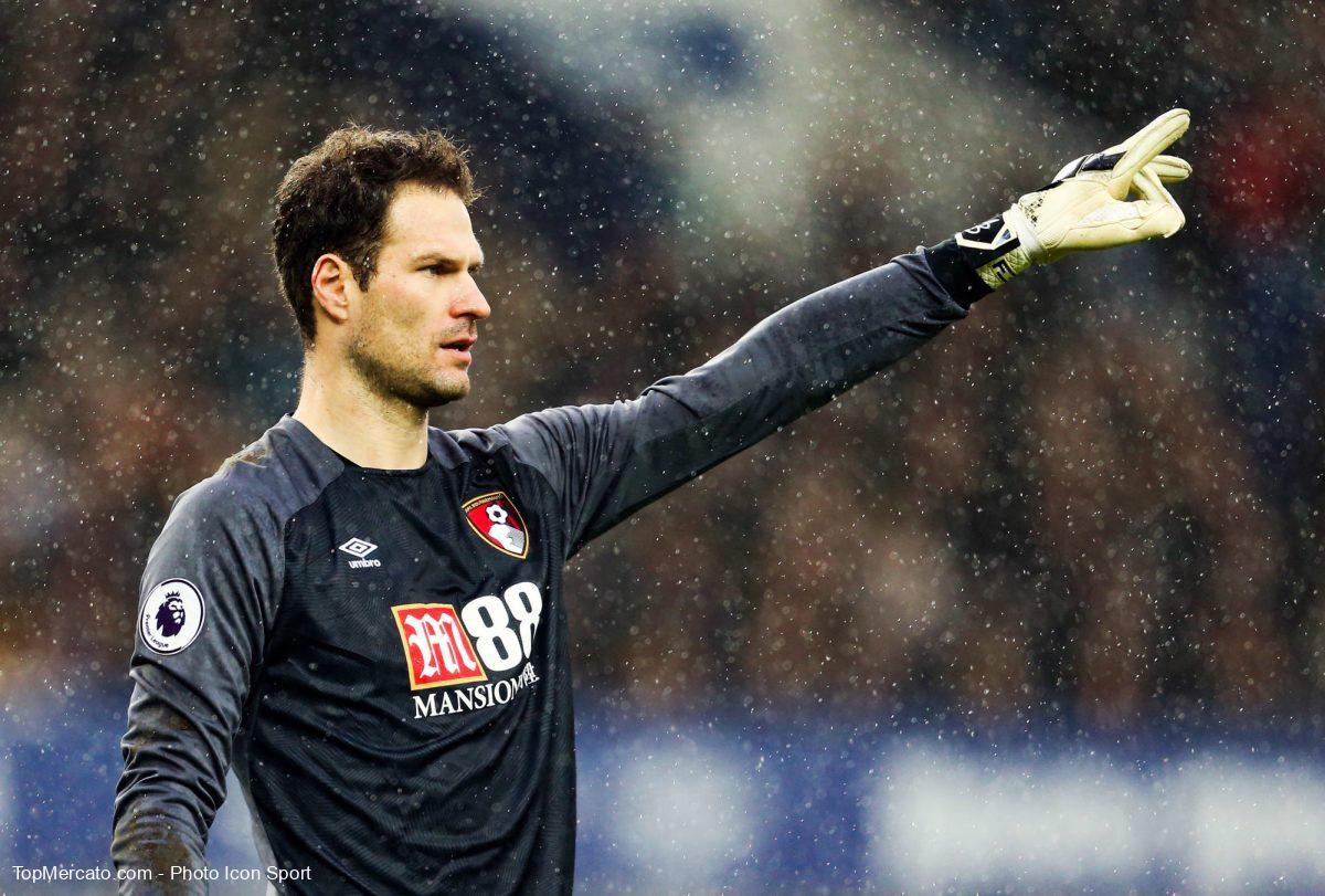 Asmir Begovic, Bournemouth