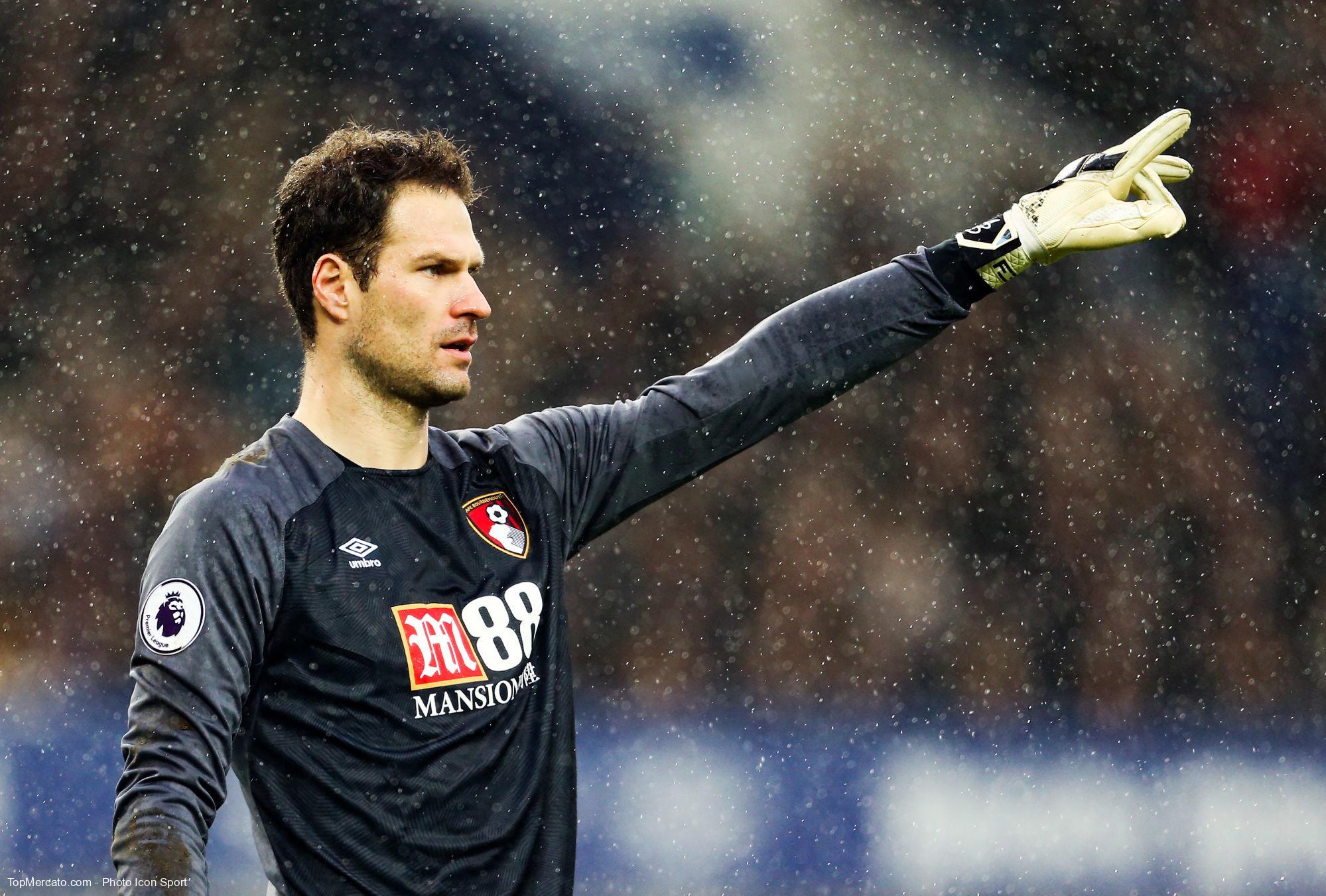 Asmir Begovic, Bournemouth