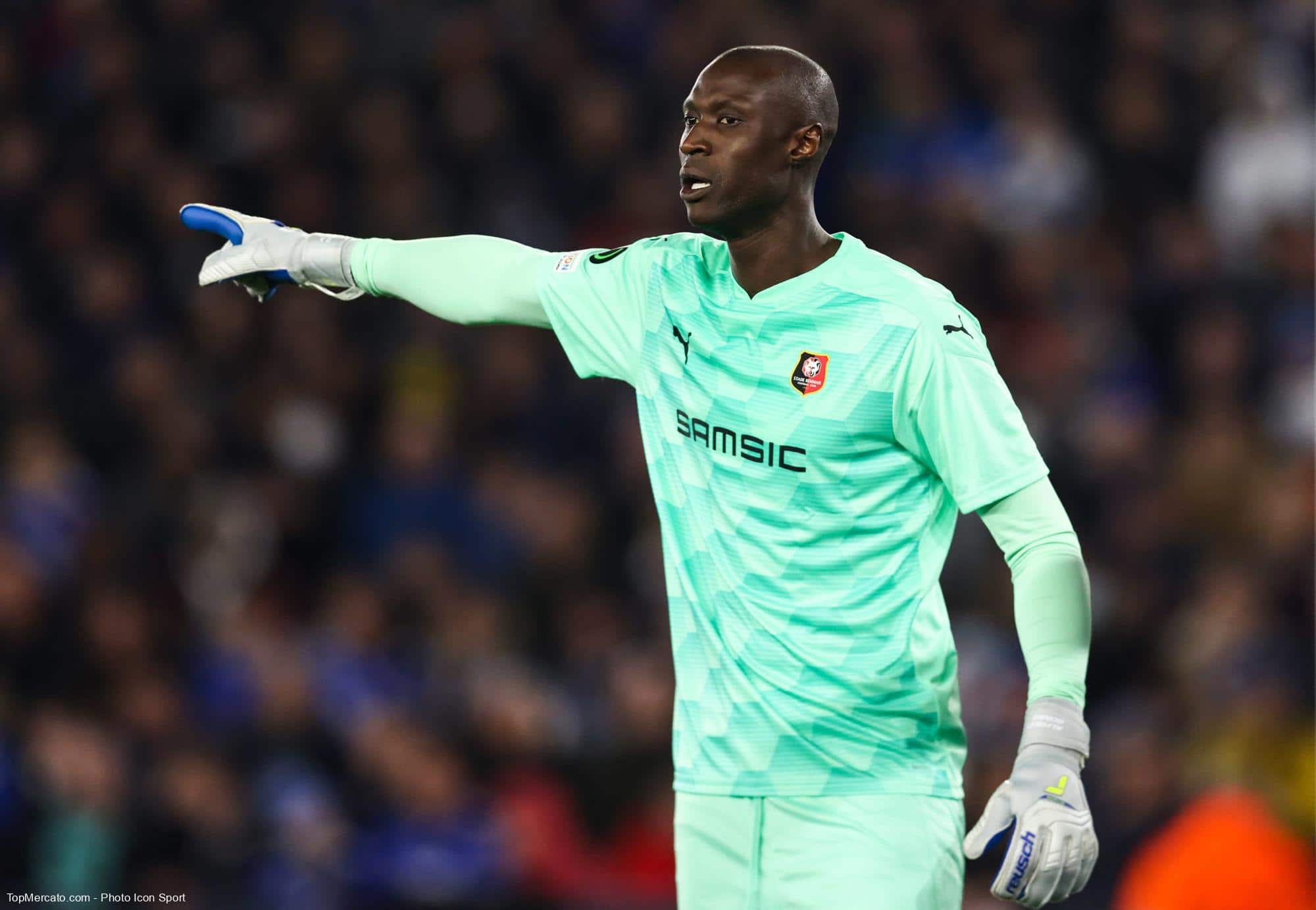 Alfred Gomis, Stade Rennais, Rennes