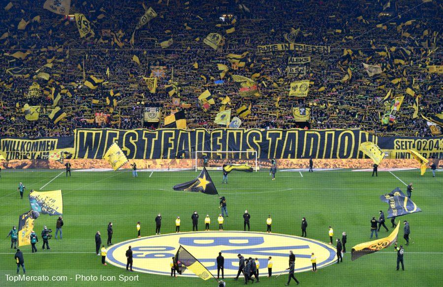 Borussia Dortmund, BVB illustration