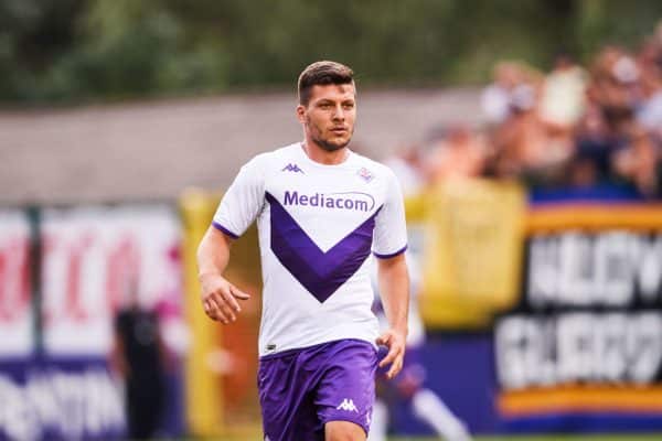 Luka Jovic, Fiorentina