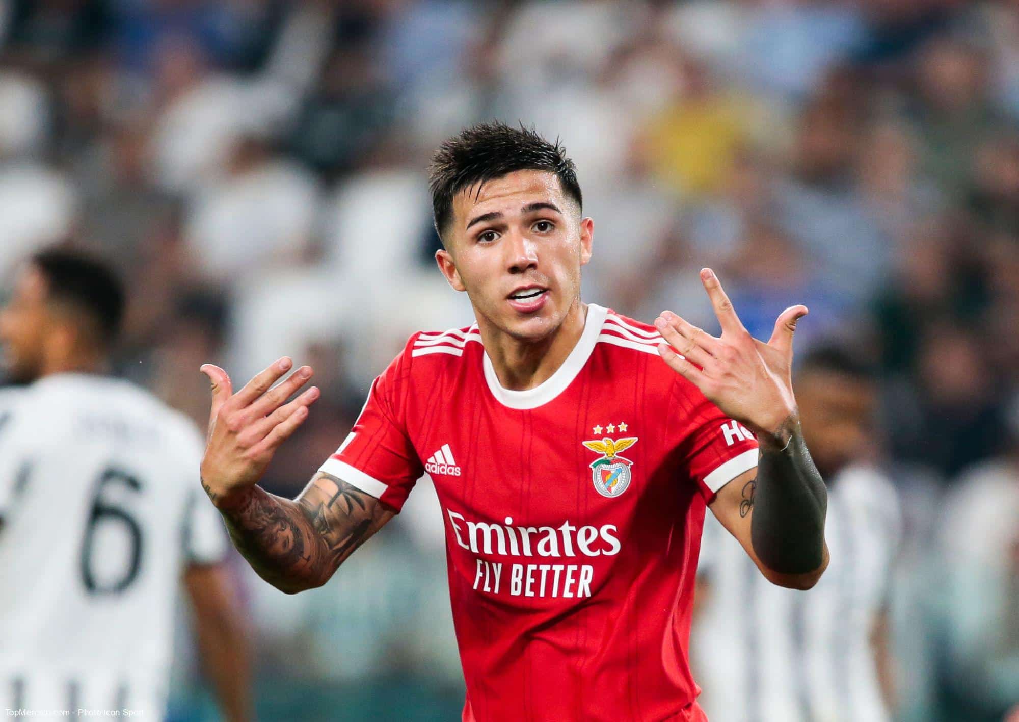 Enzo Fernandez, Benfica