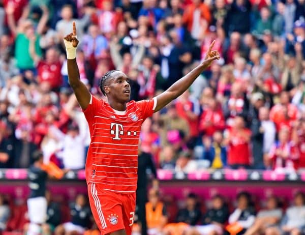 Mathys Tel, Bayern Munich