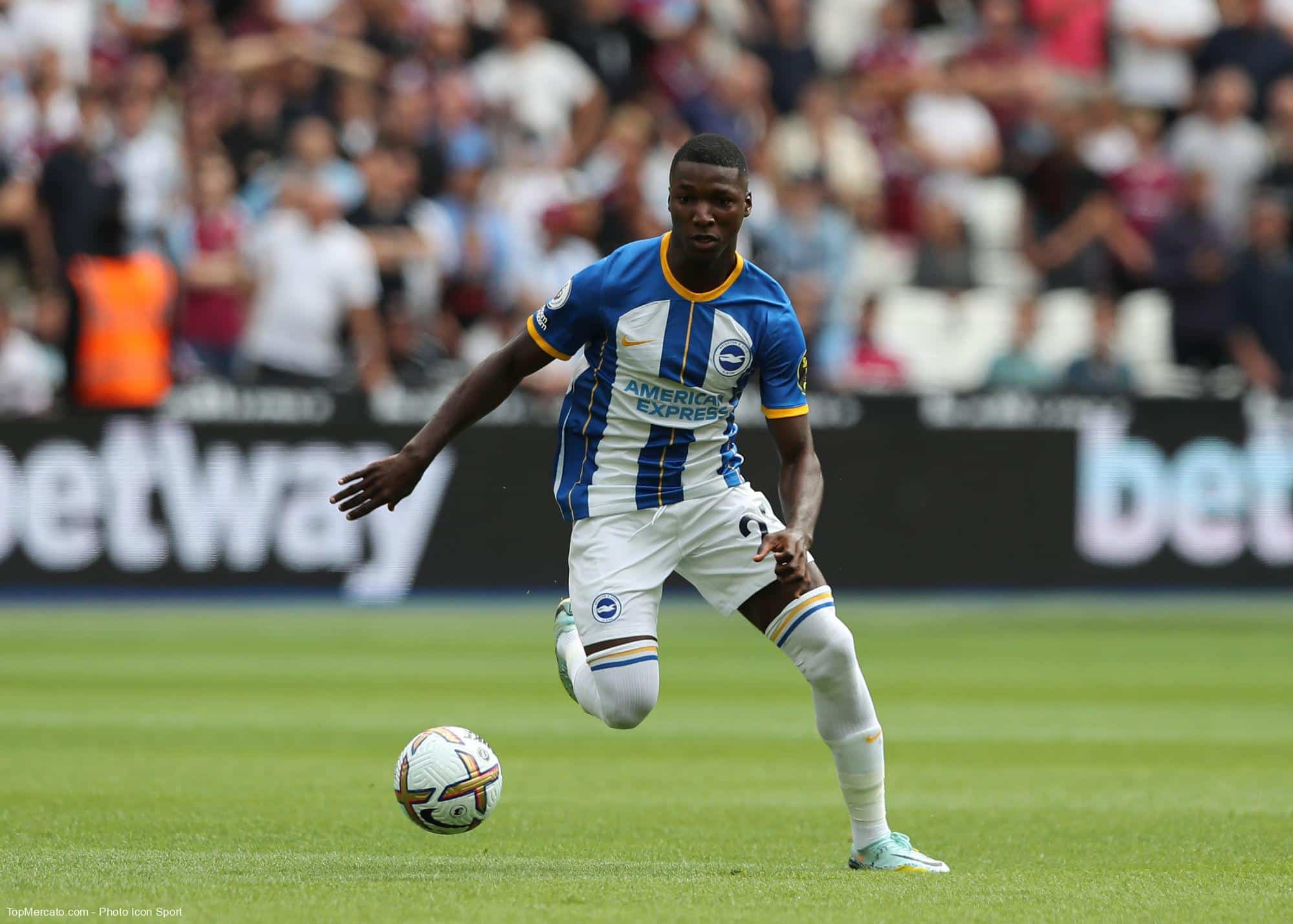 Moises Caicedo Brighton