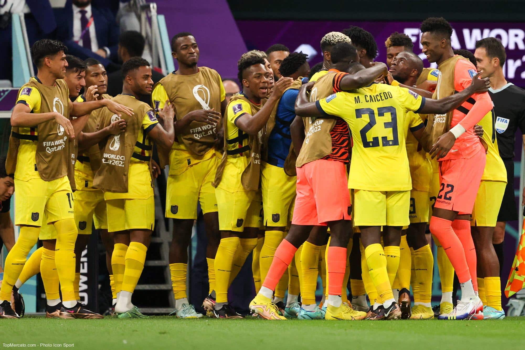 Coupe du monde 2022 : l'audience TV de Qatar-Equateur révélée