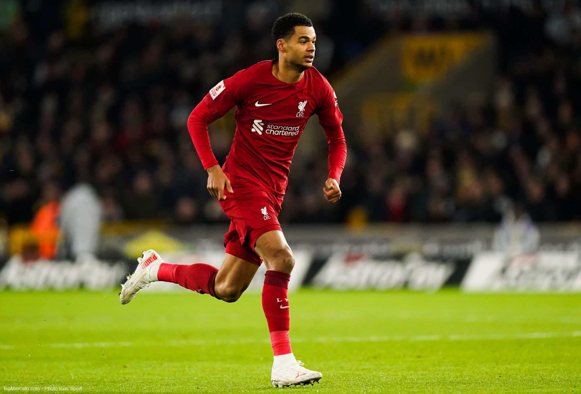 Gakpo à Liverpool, Koeman ne comprend pas !
