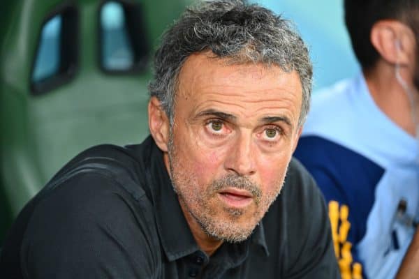 PSG : Enrique valide une cible estivale