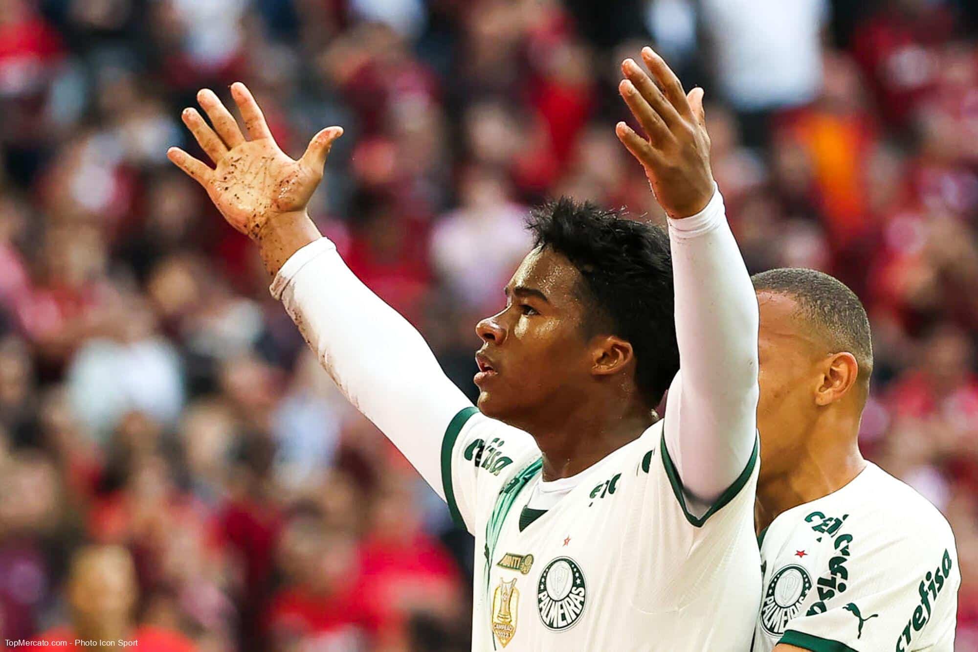 Endrick, Palmeiras