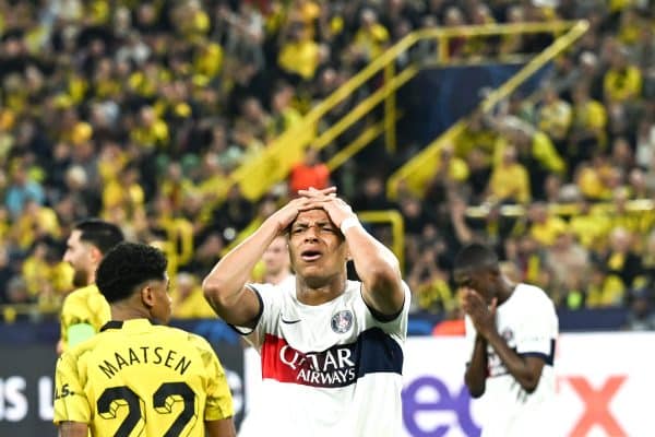 PSG-Dortmund : un chat noir désigné comme arbitre !